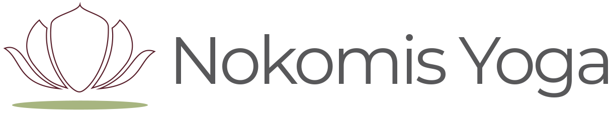 Nokomis Logo